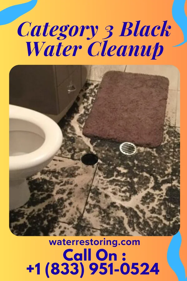 Category 3 Black Water Cleanup in Nitro, WV