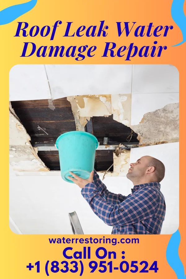Roof Leak Water Damage Repair in Nitro, WV