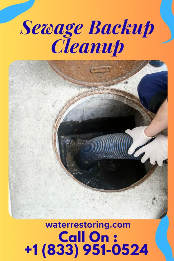 Sewage Backup Cleanup in Nitro, WV