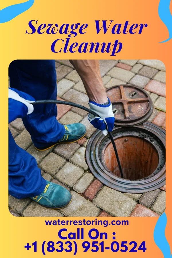 Sewage Water Cleanup in Nitro, WV