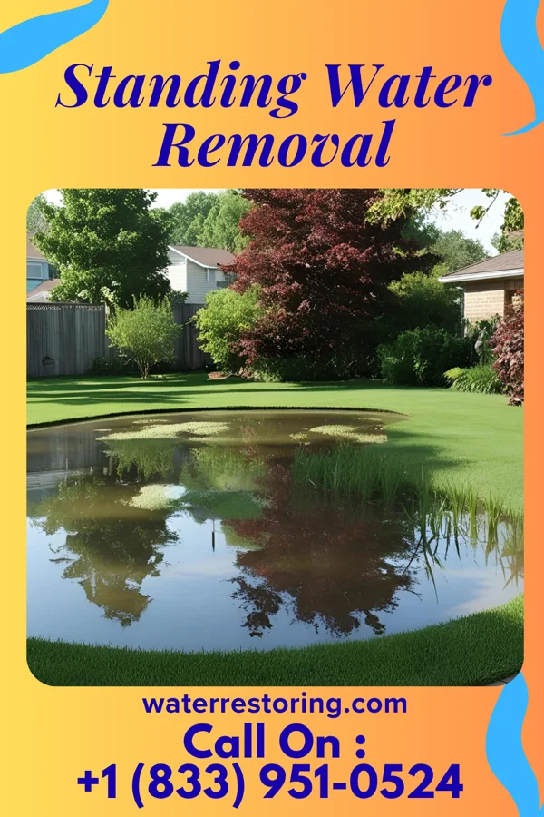 Standing Water Removal in Nitro, WV